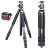 ARTCISE NS75C Special-Shaped Center Column Carbon Fiber Tripod With 36MM Low Profile Ball Head