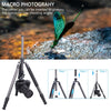 ARTCISE AS35C+NB34+MA Carbon Fiber Tripod