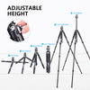 ARTCISE NS75C Special-Shaped Center Column Carbon Fiber Tripod With 36MM Low Profile Ball Head