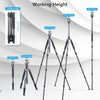 ARTCISE AS75C Multi-functional Carbon Fiber Tripod With 40MM Ball Head