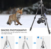 ARTCISE AF50C Flip Lock Carbon Fiber Tripods With 34MM Ball Head