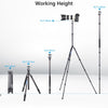 ARTCISE AS35C+NB34+MA Carbon Fiber Tripod