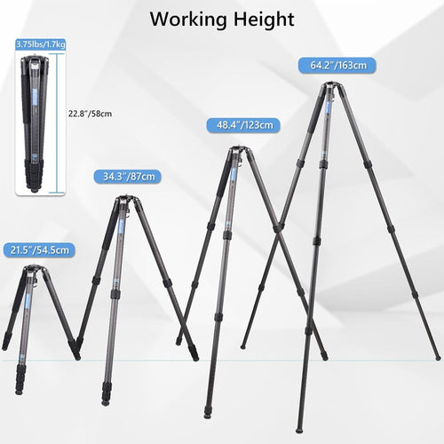 ARTCISE AS80C Standard Carbon Fiber Tripod