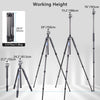 ARTCISE AS65C+QB35+MA Carbon Fiber Camera Tripod